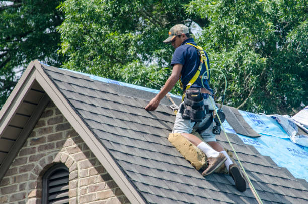 Best Local Roofing Companies  in Lamesa, TX